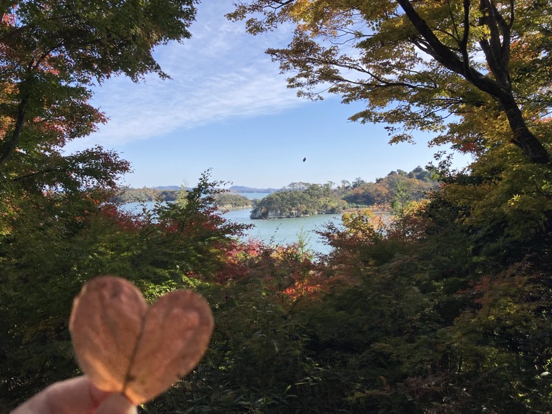 福浦島で拾ったハートの形の葉と、紅葉ごしの松島の島