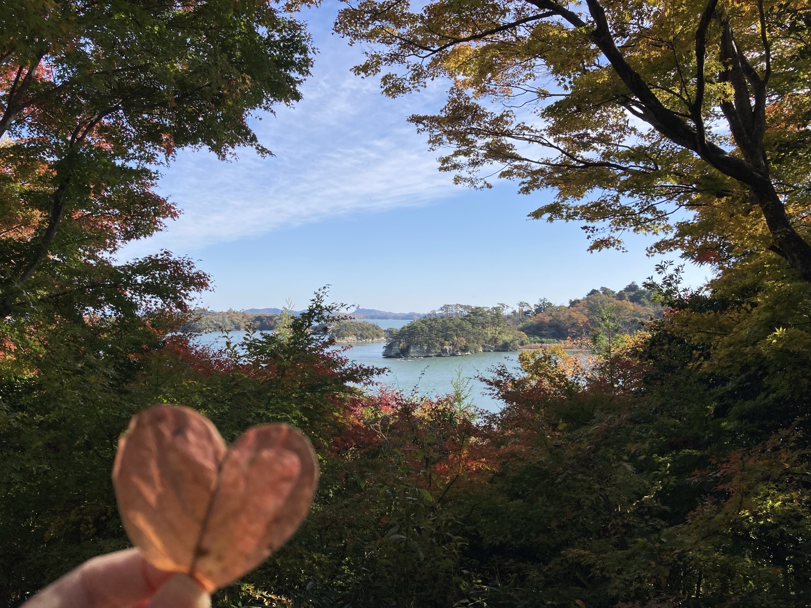 松島の紅葉ごしに見える島と海