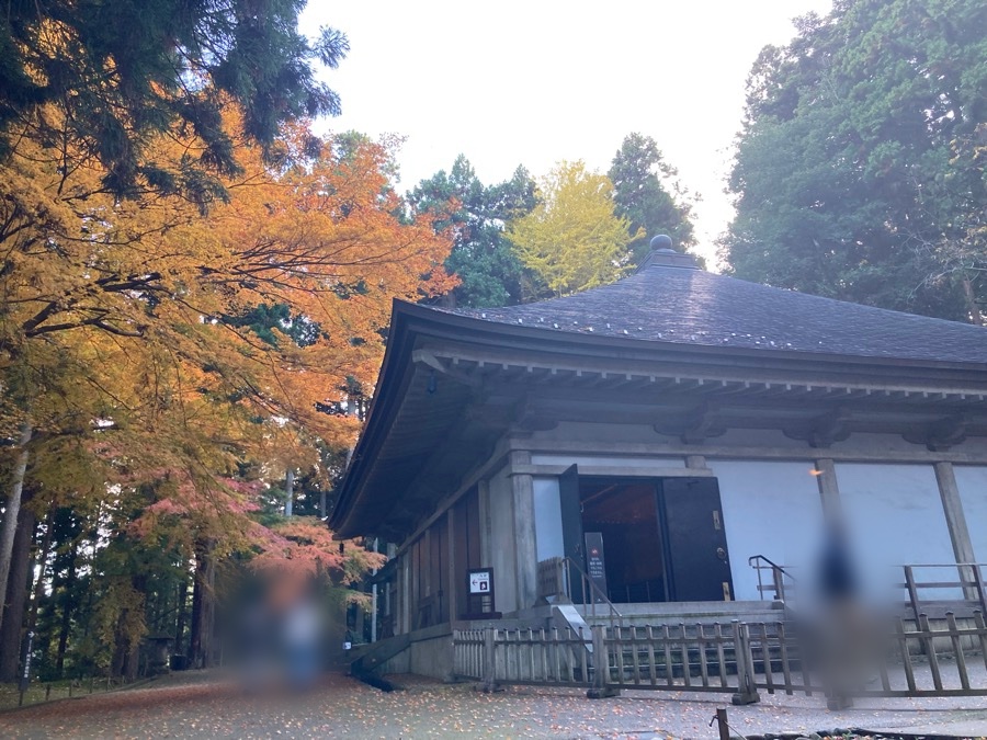 扉が開いている金色堂の覆堂と紅葉