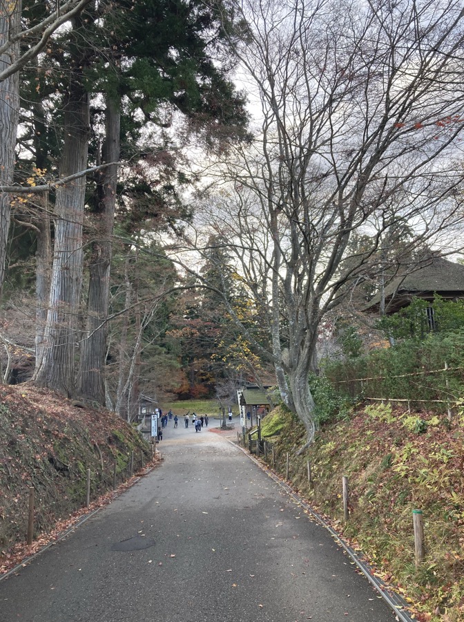 葉が落ちた木と杉に囲まれた中尊寺の下りの道