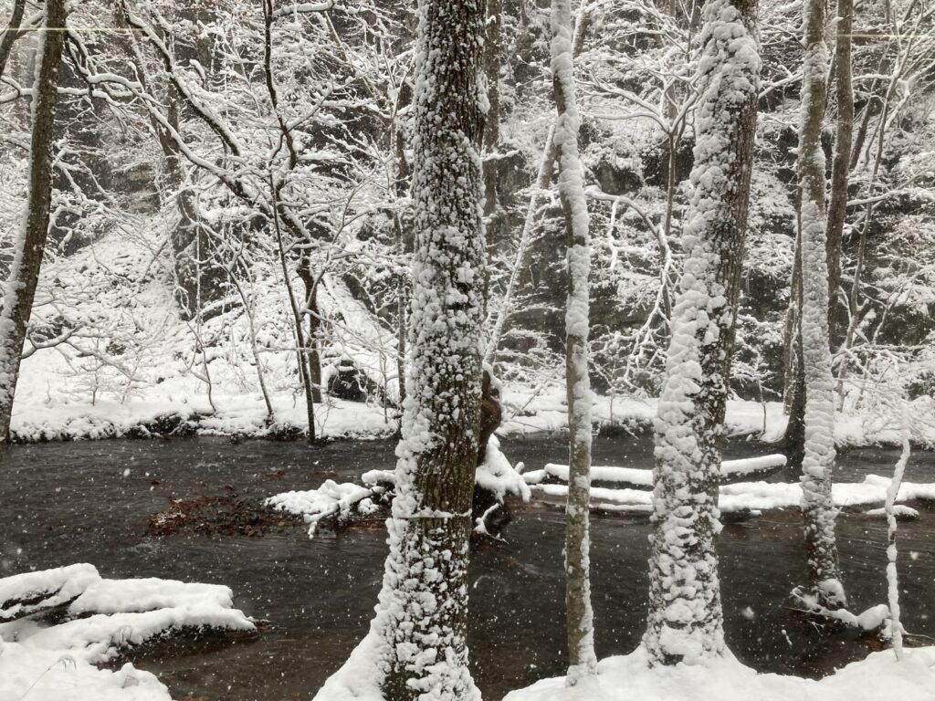 バスの窓から見た、雪の奥入瀬渓流