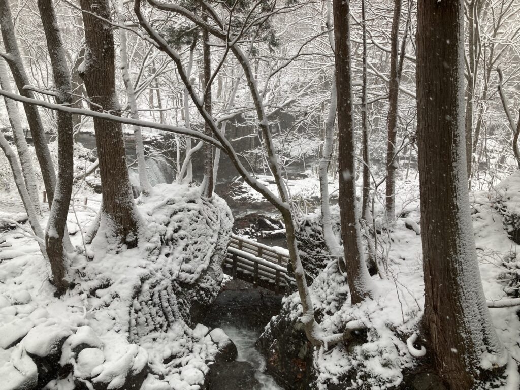 雪をかぶった岩と、奥入瀬渓流の流れ