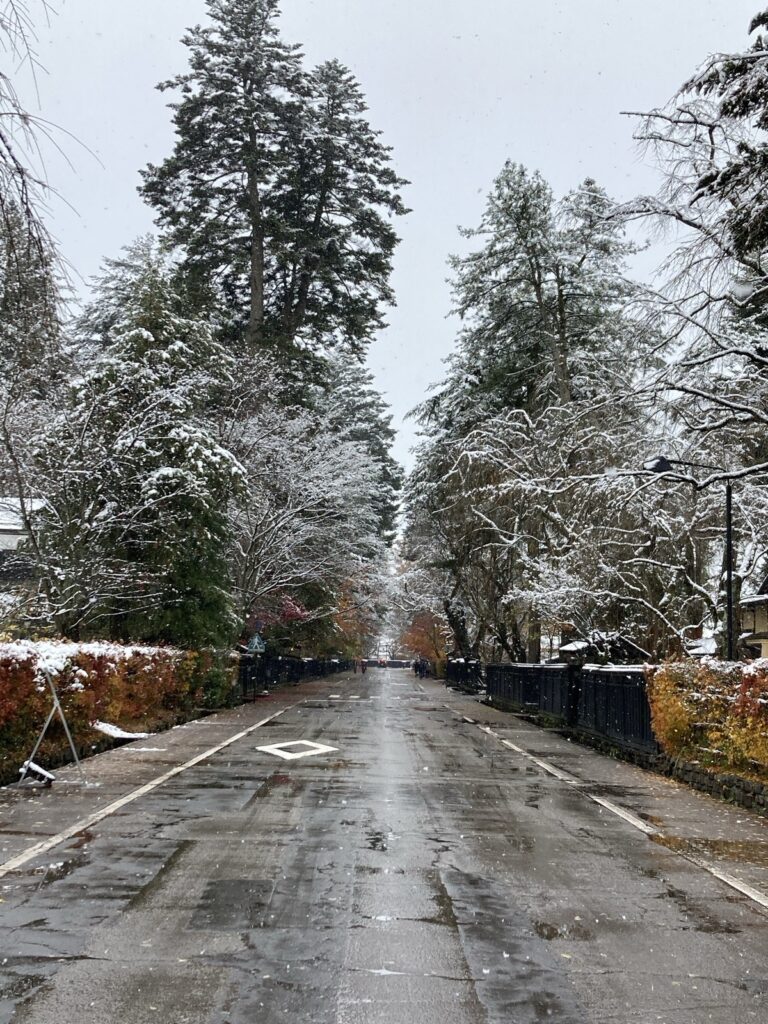 雪をかぶった木が並ぶ角館の武家屋敷通り