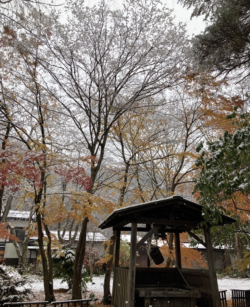 岩橋家の庭にある屋根つきの井戸と紅葉